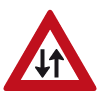 J29